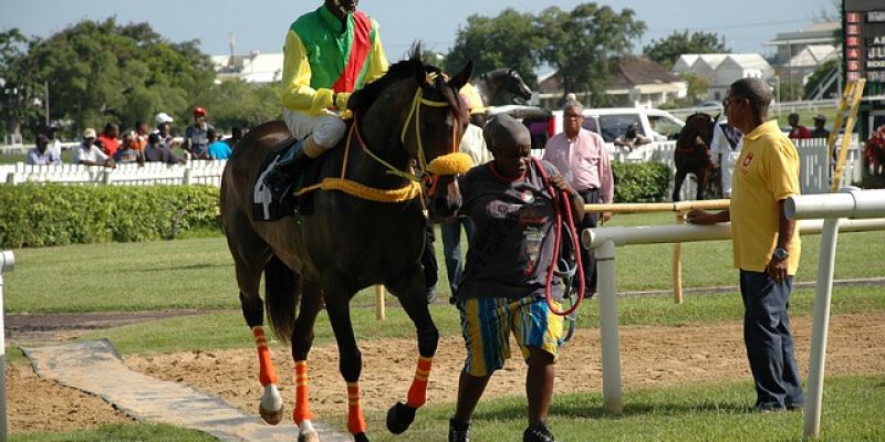 Canal Turf : présentation de ce site spécialiste du pari hippique